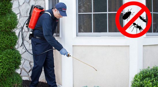 Kiğı Bit İlaçlama böcek ilaçlama ve haşere kontrolü — ilaclama-tr.com